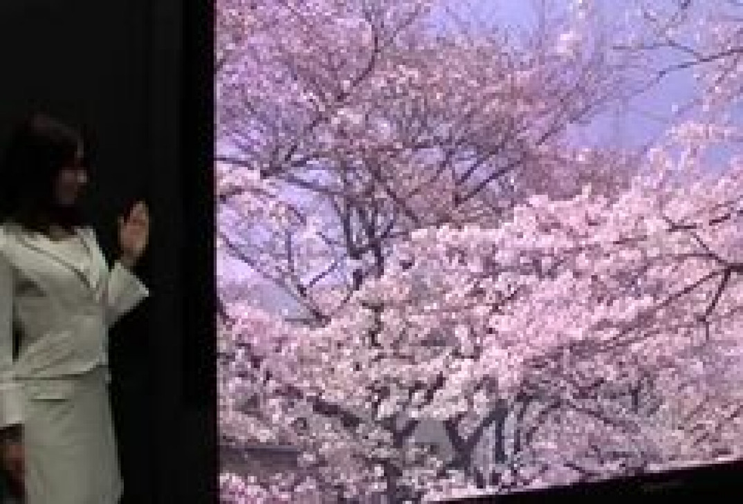 Rozdzielczość, która zadziwia. Panasonic wypuści nowy telewizor