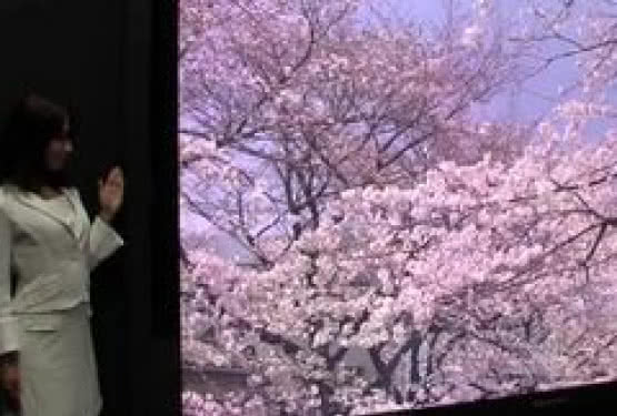 Rozdzielczość, która zadziwia. Panasonic wypuści nowy telewizor