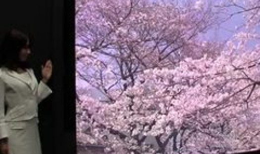 Rozdzielczość, która zadziwia. Panasonic wypuści nowy telewizor