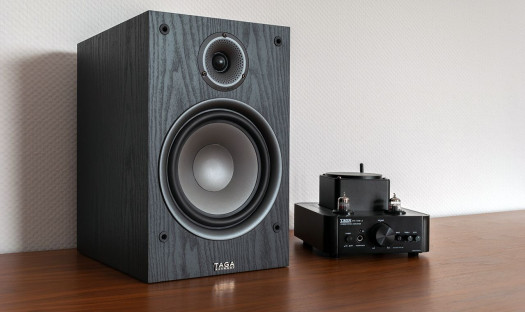Nowe kolumny głośnikowe Taga Harmony TAV-807