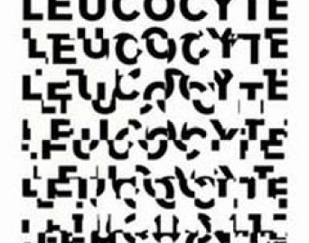 Leucocyte