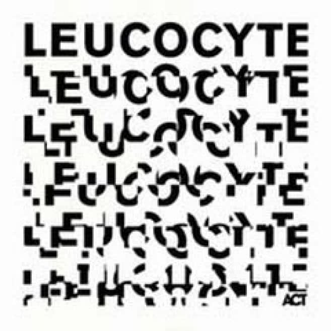 Leucocyte