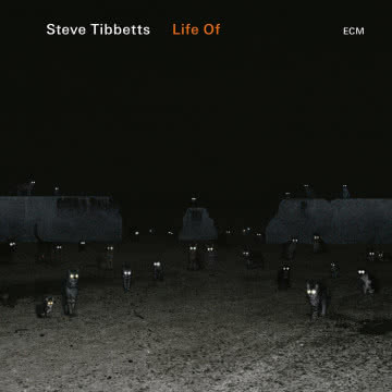 Steve Tibbets - Life Of Life of