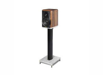 Electa Amator III