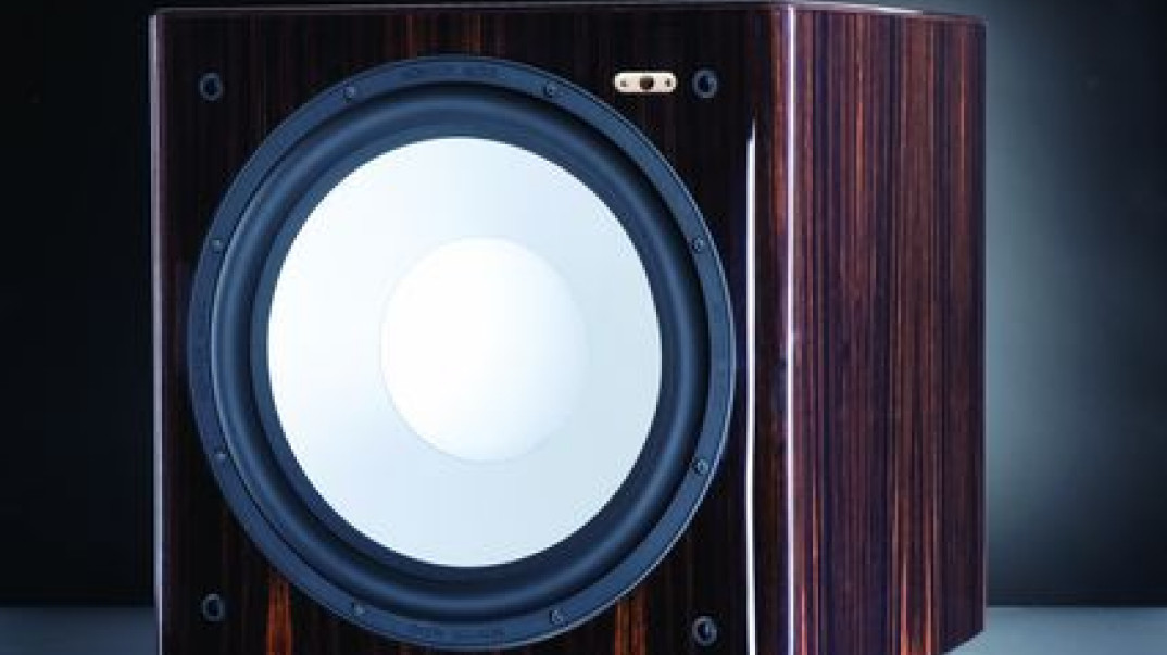 Monitor Audio Platinum PL W15
