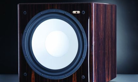 Monitor Audio Platinum PL W15