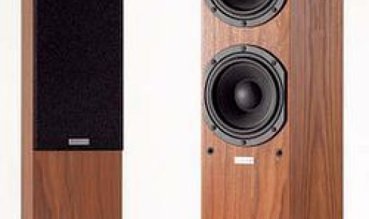 Xavian Primissima i Gran Colonna