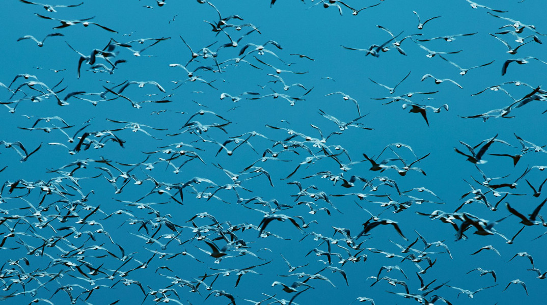 Vijay Iyer prezentuje swój nowy album - "Compassion". Premiera dziś