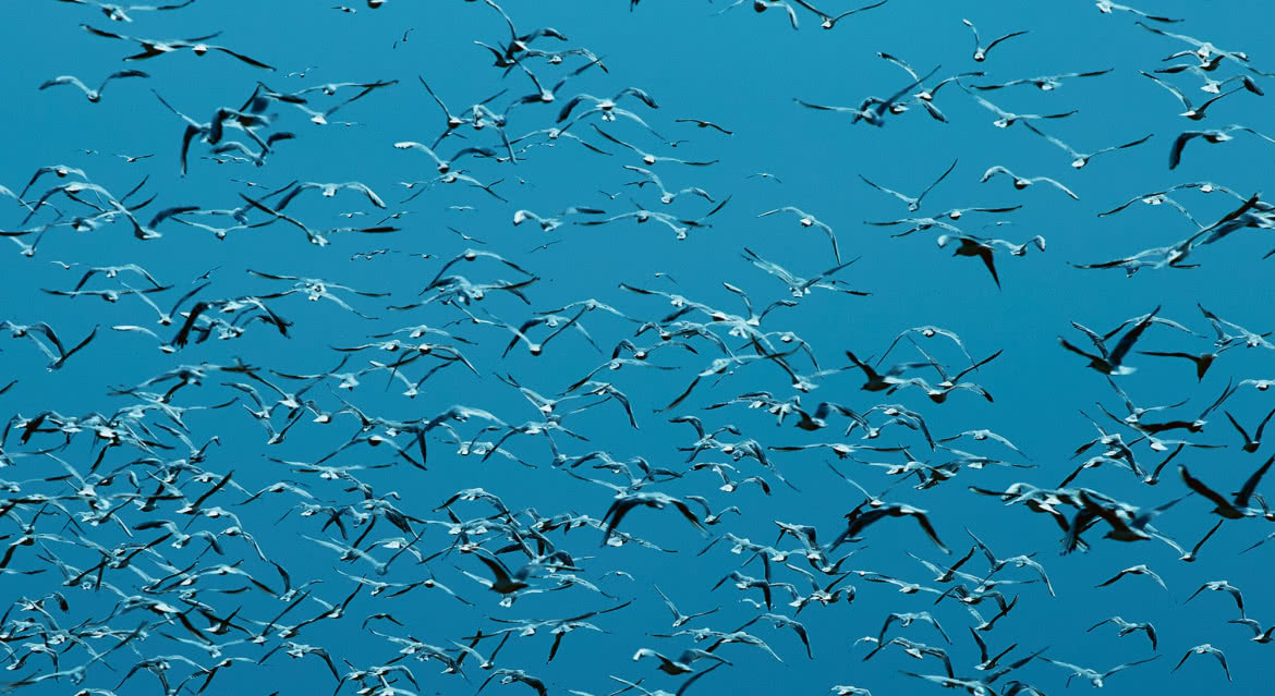 Vijay Iyer prezentuje swój nowy album - "Compassion". Premiera dziś