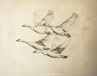 Wild Geese