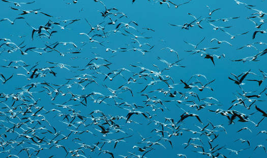 Vijay Iyer prezentuje swój nowy album - "Compassion". Premiera dziś