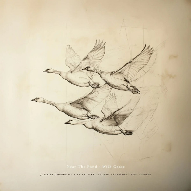 Wild Geese