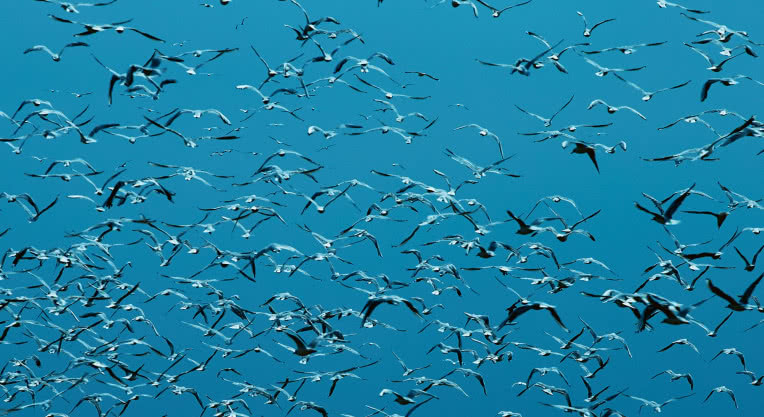 Vijay Iyer prezentuje swój nowy album - "Compassion". Premiera dziś