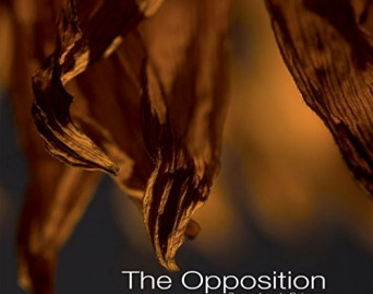 Somewhere in Between