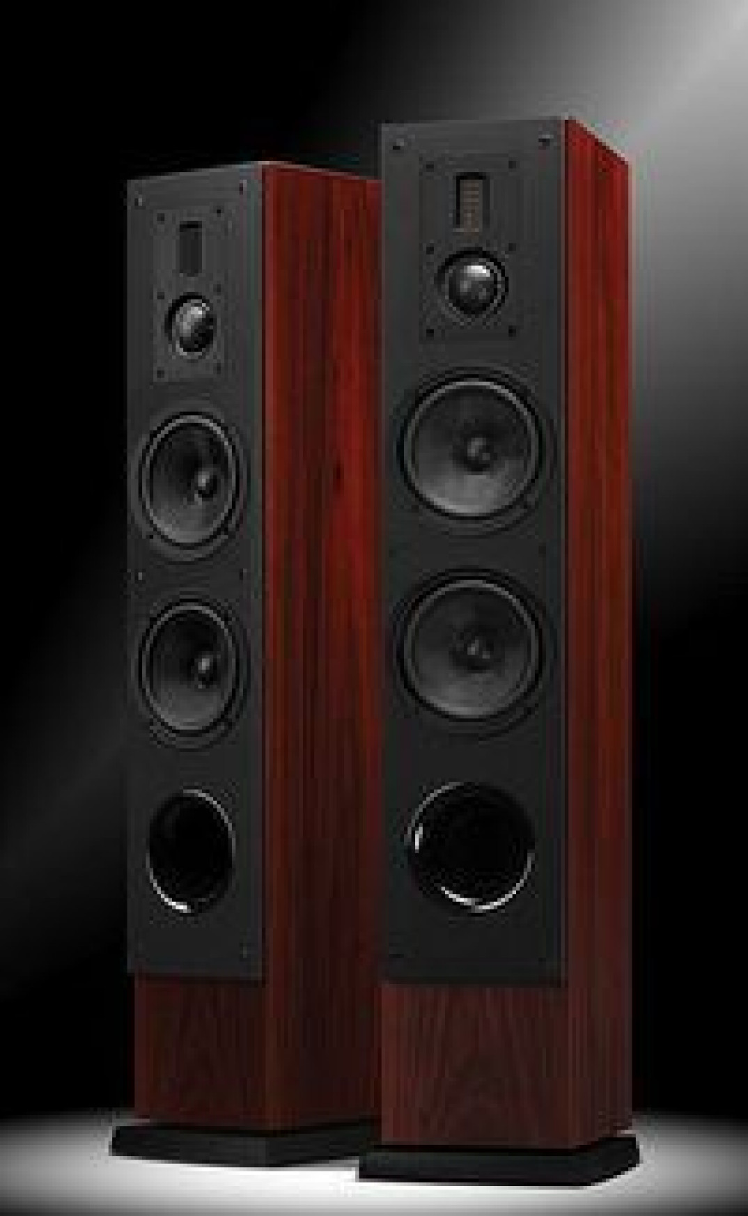 Salon Hi-Fi Ja i Ty zaprasza na odsłuch kolumn Swans RM600