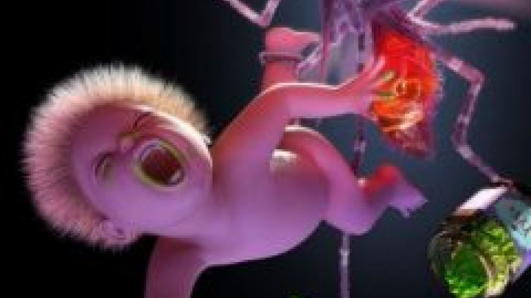 "Mosquito": nowa płyta Yeah Yeah Yeahs w kwietniu