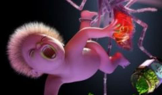 "Mosquito": nowa płyta Yeah Yeah Yeahs w kwietniu