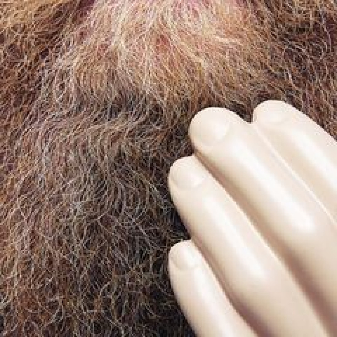 W czerwcu premiera "Touch and Flee" tria Neila Cowley`a