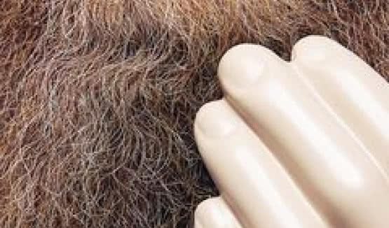 W czerwcu premiera "Touch and Flee" tria Neila Cowley`a