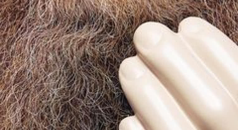 W czerwcu premiera "Touch and Flee" tria Neila Cowley`a