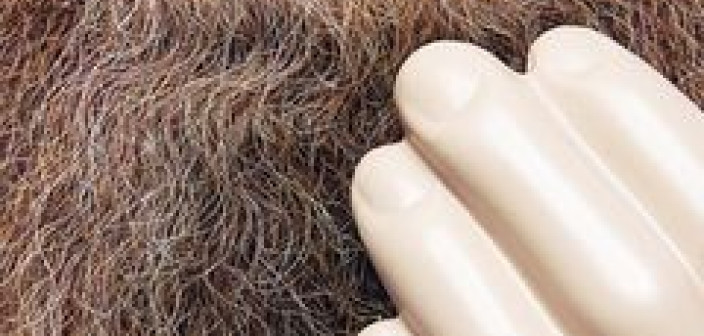 W czerwcu premiera "Touch and Flee" tria Neila Cowley`a