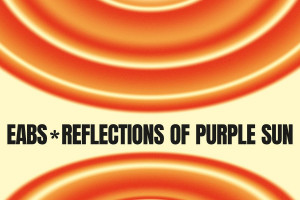 Reflections of Purple Sun