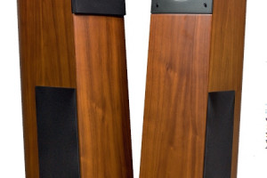 Virgo 25 Plus