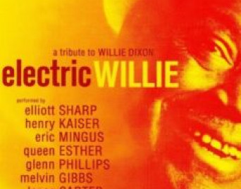 Electric Willie