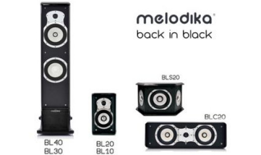 RAFKO rezygnuje z kolumn Roth OLi