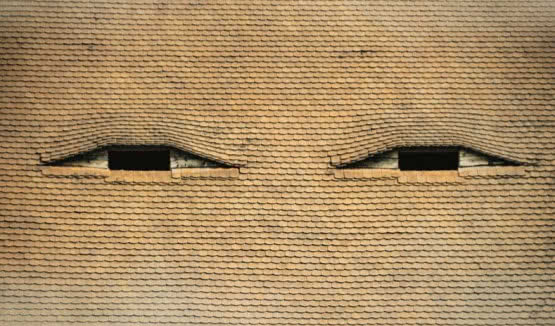 Maciej Tubis Trio z nową płytą "Flashback" już za kilka dni