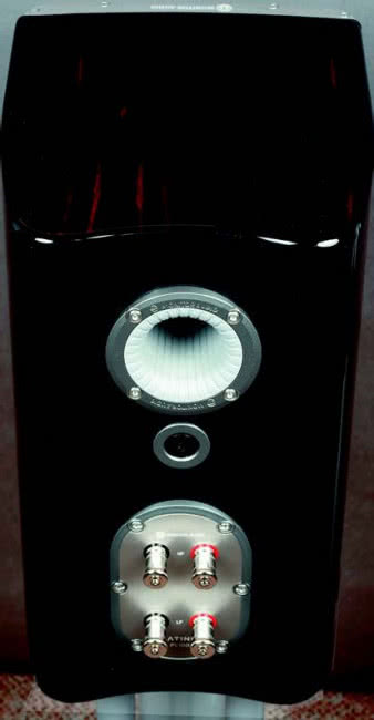 Tył obudowy jest lekko wklęsły - został wygięty z tego samego
kawałka sklejki, z którego wykonano boki. Pomiędzy terminalem
przyłączeniowym a wylotem bas-refleksu widać mocowanie
metalowego pręta, który wzmacnia obudowę.