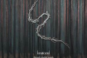 Through Shaded Woods