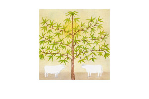 The Following Morning