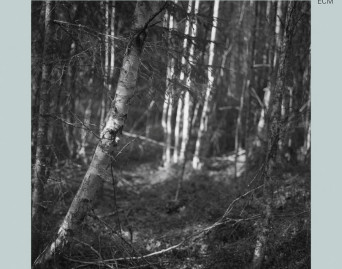 The Half-finished Heaven