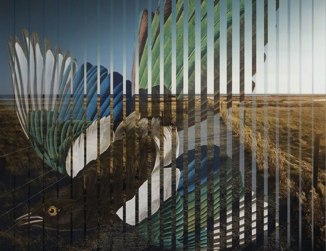 Pat Metheny i "Road To The Sun" - nowa płyta już w przedsprzedaży