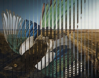 Pat Metheny i "Road To The Sun" - nowa płyta już w przedsprzedaży