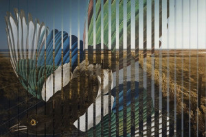 Pat Metheny i "Road To The Sun" - nowa płyta już w przedsprzedaży