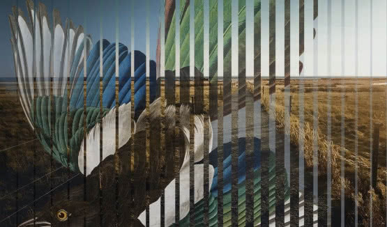 Pat Metheny i "Road To The Sun" - nowa płyta już w przedsprzedaży