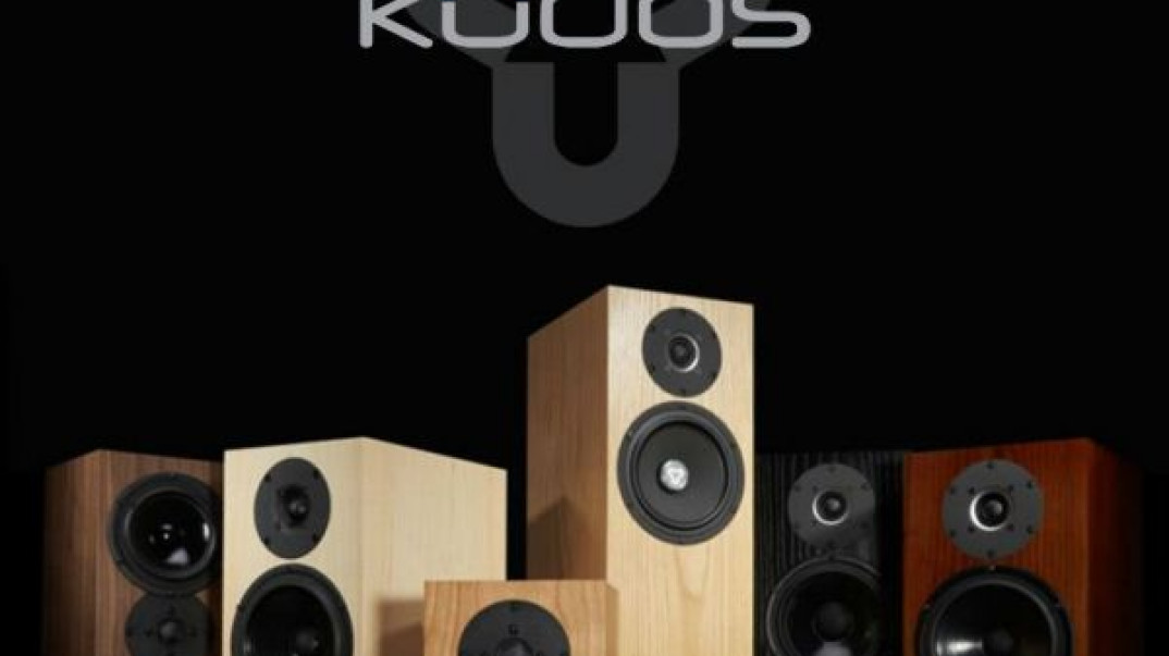 Kolumny Kudos w ofercie pabianickiego salonu Q21