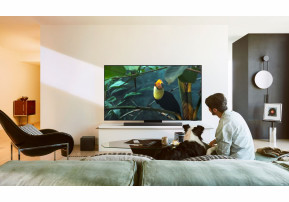 Samsung OLED S95F - procesor AI NQ4 Gen3 i kolory klasy premium 