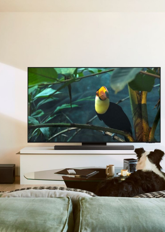 Samsung OLED S95F - procesor AI NQ4 Gen3 i kolory klasy premium 