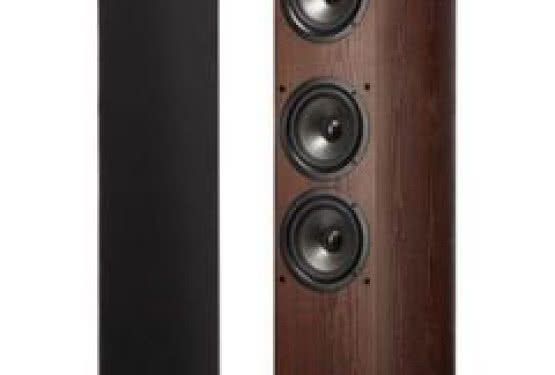 Polk Audio TSx