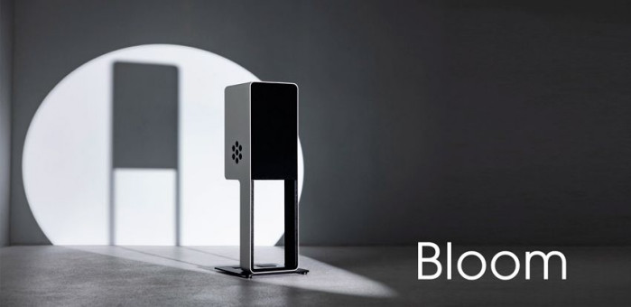 Silent Pound Bloom