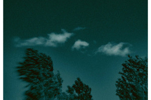 Call on the Old Wise