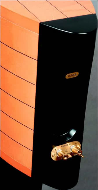 Wąska, ale
masywna tylna
ścianka, dzięki
głębokiemu
wyprofilowaniu
pozwala
dokończyć obrys
kształtu lutni,
a jednocześnie
daje miejsce na
instalację
zacisków
przyłączeniowych
i otworu
bas-refleks.