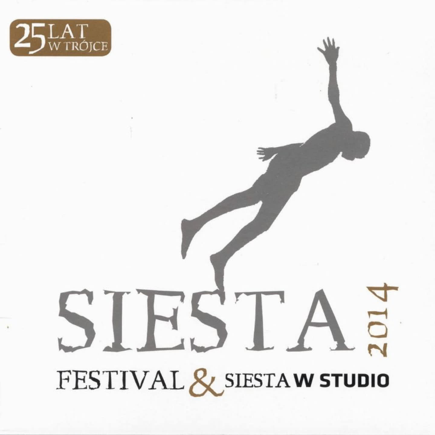 Siesta 2014 Festival & Studio