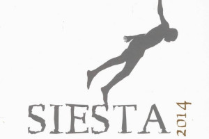Siesta 2014 Festival & Studio