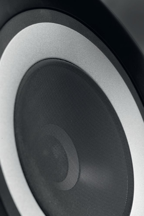 Układ koncentryczny w dwóch modelach Reference jest taki sam, pracuje od ok. 250 Hz, podział między przetwornikiem średniotonowym a wysokotonowym przypada na ok. 2 kHz.