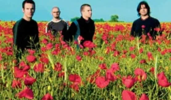 Progrock 2009 w lutym