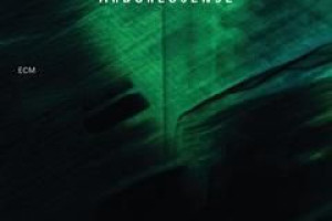 Arborescence